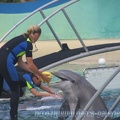 Marineland_Antibes_-_004.jpg