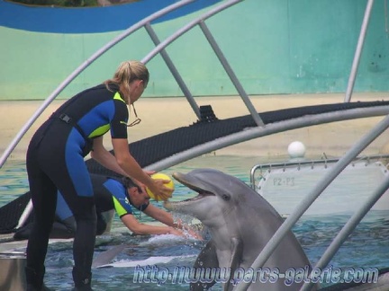 Marineland Antibes - 004