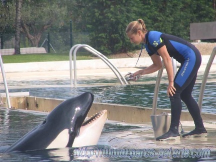 Marineland Antibes - 001