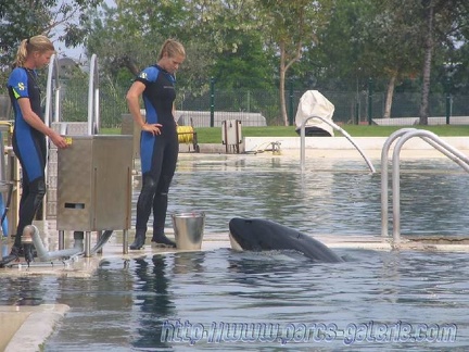 Marineland Antibes - 003