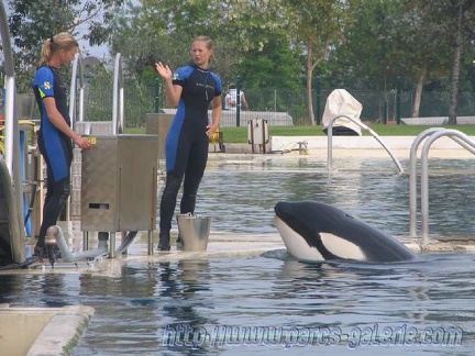 Marineland Antibes - 004