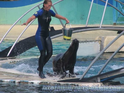 Marineland Antibes - 001