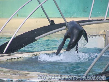 Marineland Antibes - 002