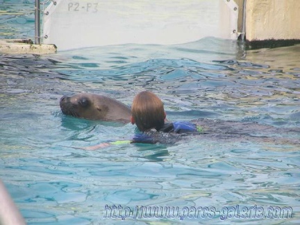 Marineland Antibes - 003