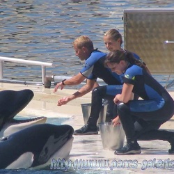 Marineland - Orques - Mickael aux orques