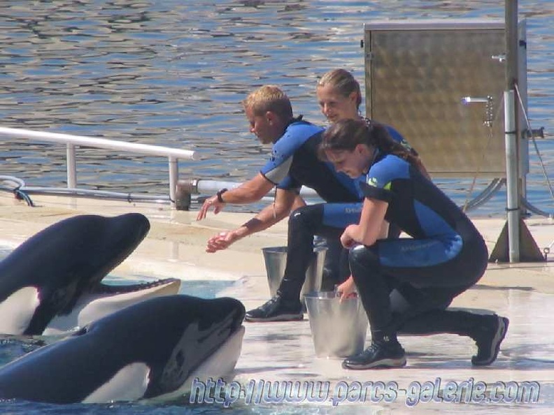 Marineland_Antibes_-_002.jpg