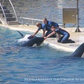 Marineland Antibes - 003