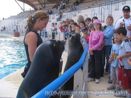 Marineland Antibes - 001