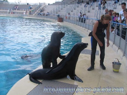 Marineland Antibes - 002