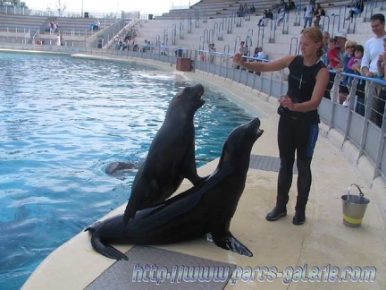 Marineland Antibes - 003