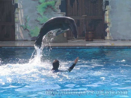 Marineland Antibes - 004