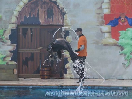 Marineland Antibes - 013