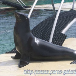 Marineland - Autres photos