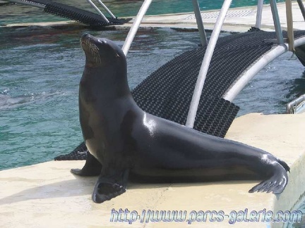 Marineland Antibes - 002