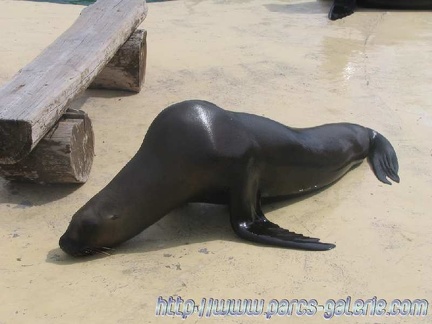 Marineland Antibes - 003