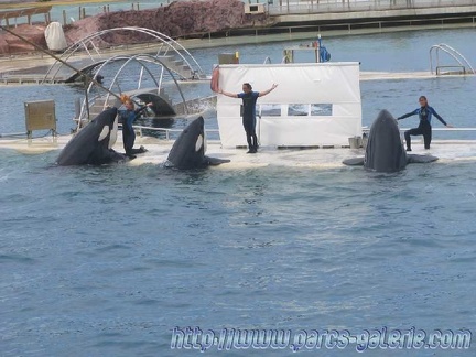 Marineland Antibes - 001