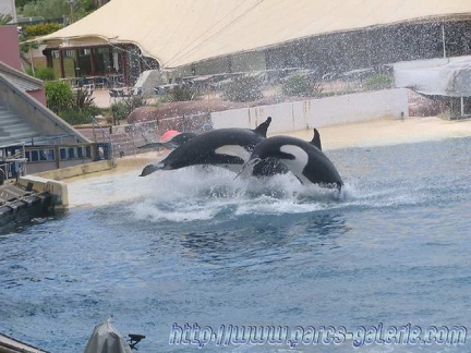 Marineland Antibes - 002