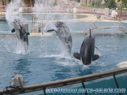 Marineland Antibes - 004