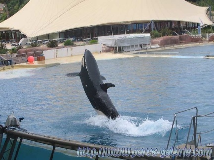 Marineland Antibes - 005