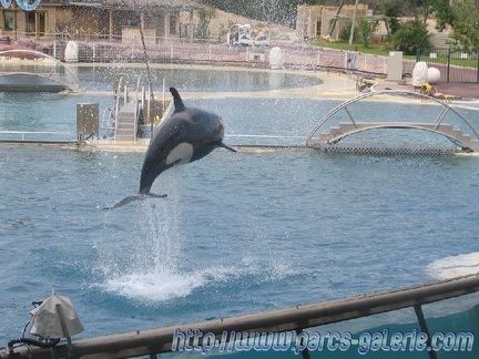 Marineland Antibes - 006