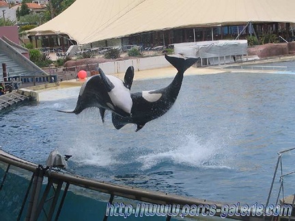 Marineland Antibes - 007