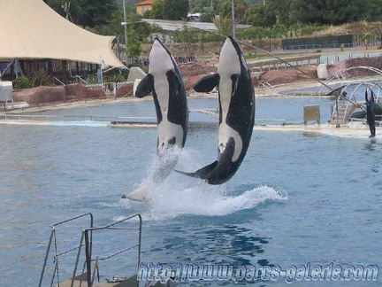 Marineland Antibes - 008