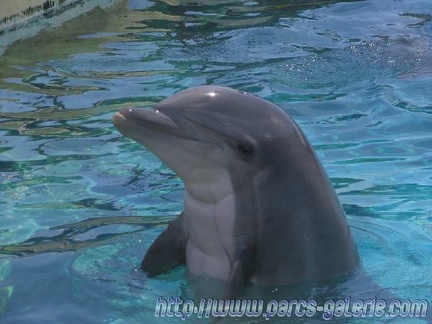 Marineland Antibes - 001