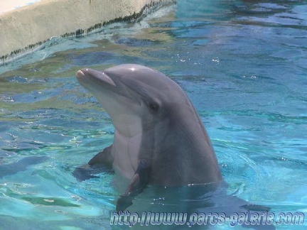 Marineland Antibes - 003