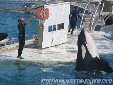 Marineland Antibes - 002