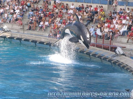 Marineland Antibes - 003