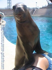 Marineland Antibes - 002