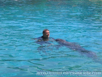 Marineland Antibes - 002