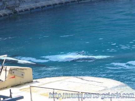 Marineland Antibes - 002