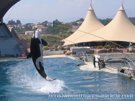 Marineland Antibes - 003