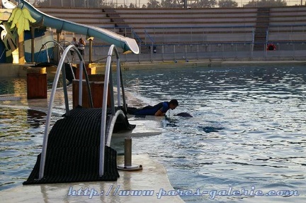 Marineland Antibes - 001