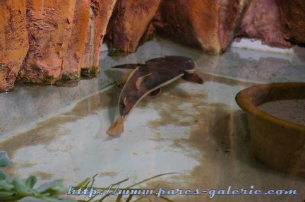 Marineland Antibes - 009