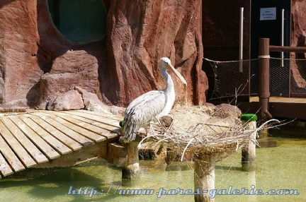 Marineland Antibes - 001