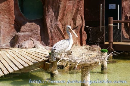 Marineland Antibes - 002