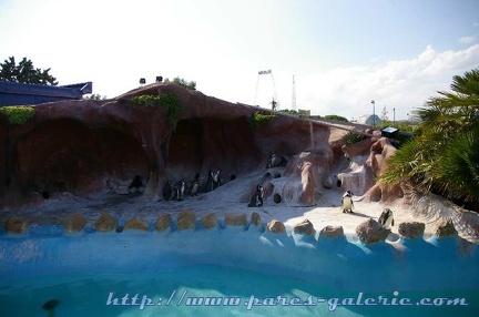 Marineland Antibes - 001