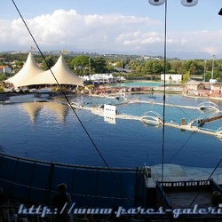 Marineland - Orques - Le bassin