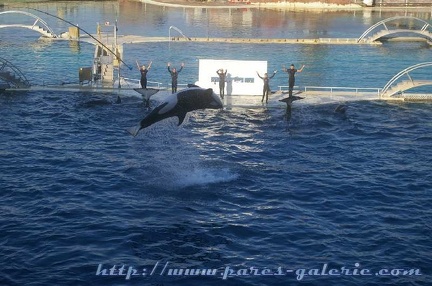 Marineland Antibes - 001