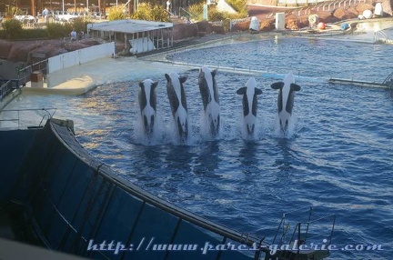 Marineland Antibes - 003