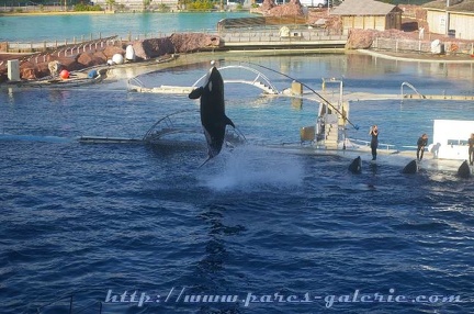 Marineland Antibes - 007