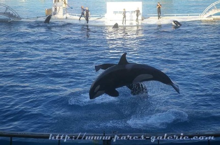 Marineland Antibes - 008