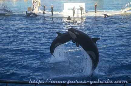 Marineland Antibes - 009