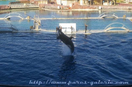 Marineland Antibes - 010