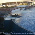 Marineland Antibes - 012