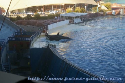 Marineland Antibes - 012