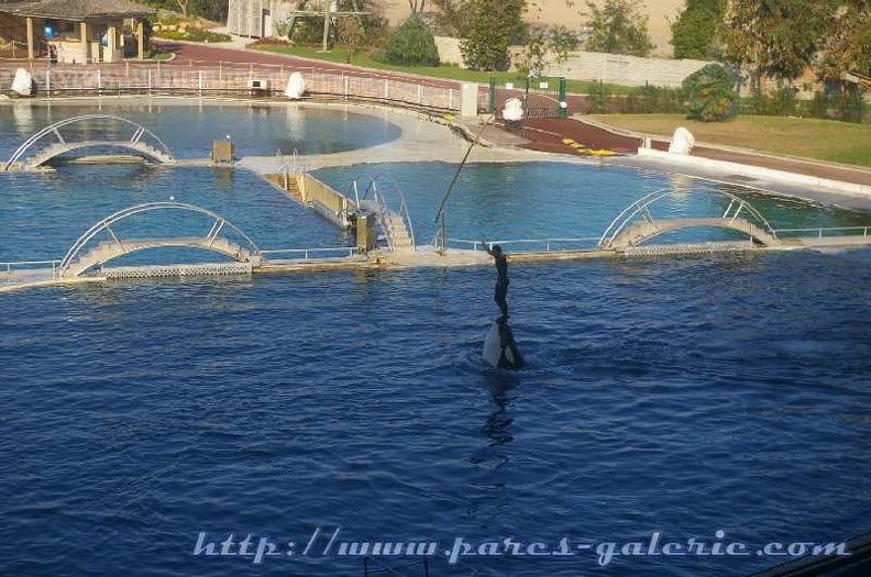 Marineland_Antibes_-_013.jpg