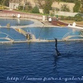 Marineland Antibes - 014